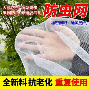 大棚防虫网蔬菜果园加厚防虫纱网耐晒养殖场专用防果蝇粉虱