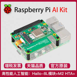 Kit 树莓派 HAT 人工智能套件M.2 hailo8模块 raspberry