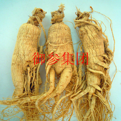 人参白参生晒参东北长白山50克