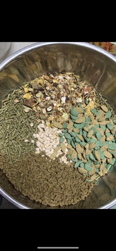 御宅猫进口龙猫增肥混粮 美毛调理肠胃马祖瑞 爱宝威霸维特乳酸菌