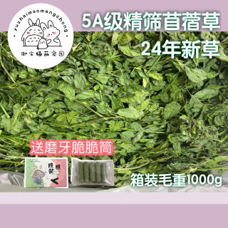 烘干紫花苜蓿草干草兔子食用草幼兔粮食龙猫荷兰猪饲料牧草用品