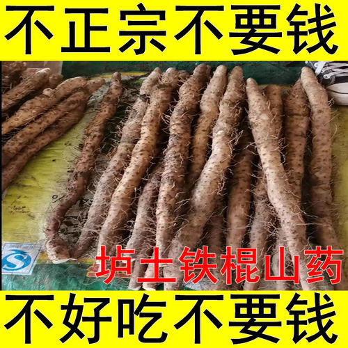 正宗河南焦作温县垆土特级新鲜