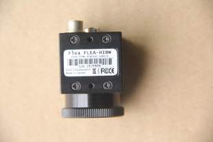 HIBW FLEA 直拍 Point 全新无包装 Grey灰点