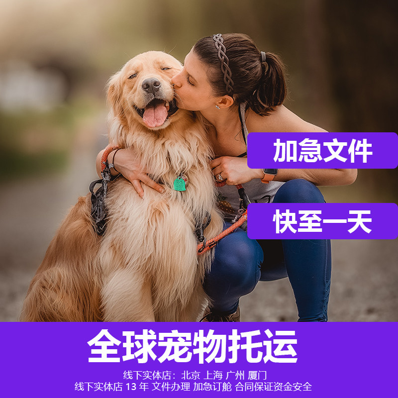 全球宠物托运猫咪狗全国上门代办空运出入境检疫国际邮寄运输服务