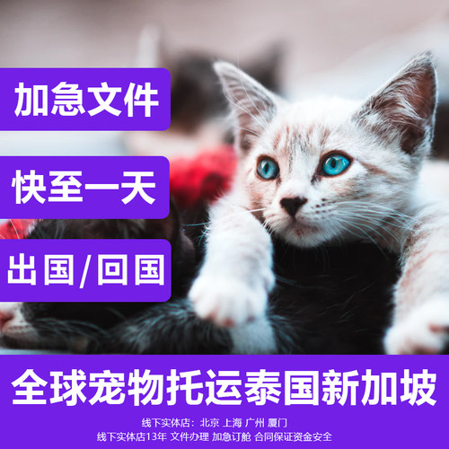 猫咪狗托运泰国菲律宾 猫狗托运马来西亚新加坡 猫狗回国宠物回国 - 封面