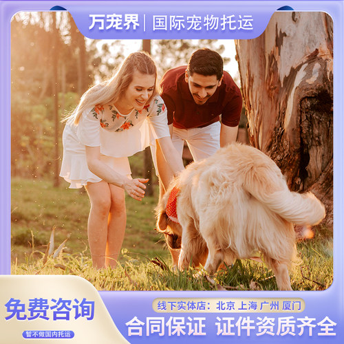 猫咪托运狗狗加拿大客舱内美国