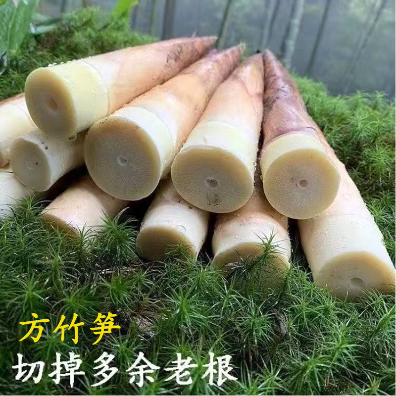 方竹笋秋笋脆嫩鲜甜顺丰快递