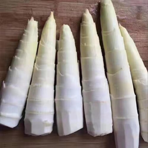 春笋洋毛笋竹笋肉厚笋嫩味鲜