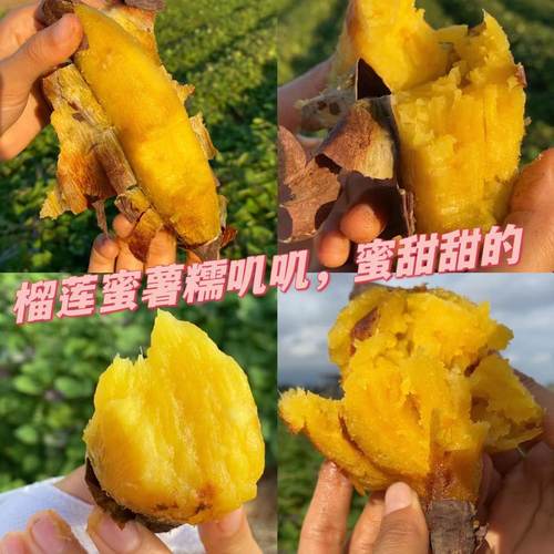 榴莲蜜薯湛江软糯蜜甜绵密细腻