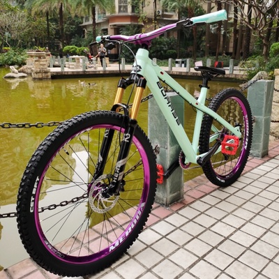 博睿思土坡车气叉炸街越野山地车