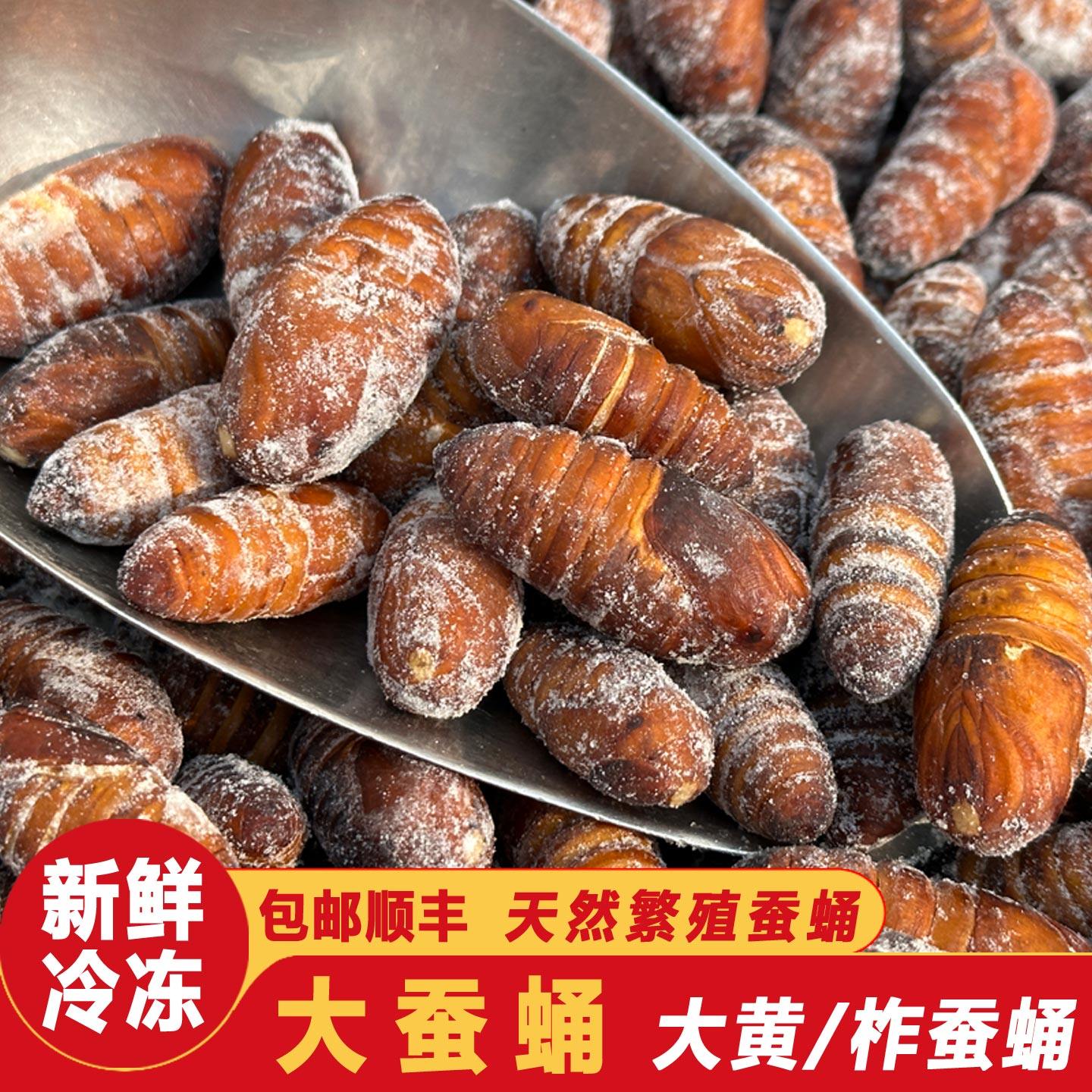 东北特产大蚕蛹速冻柞蚕蛹高蛋白质冷冻1级大黄蛹茧烧烤昆虫包邮,水产肉类/新鲜蔬果/熟食,其它生肉制品,淘宝优惠券,粉丝福利购,淘宝优惠卷