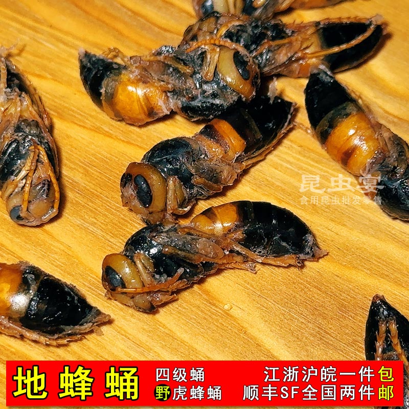 冷冻蜂蛹大黑蜂4级金环蛹虎头蜂马蜂野生蜂蛹昆虫食品2件全国包邮-封面