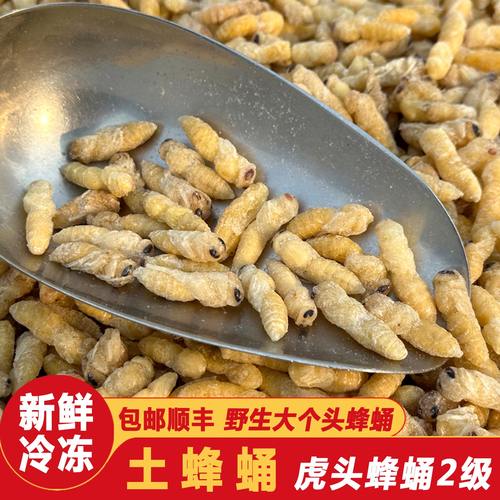 地蜂蛹虎头蜂蛹马蜂昆虫