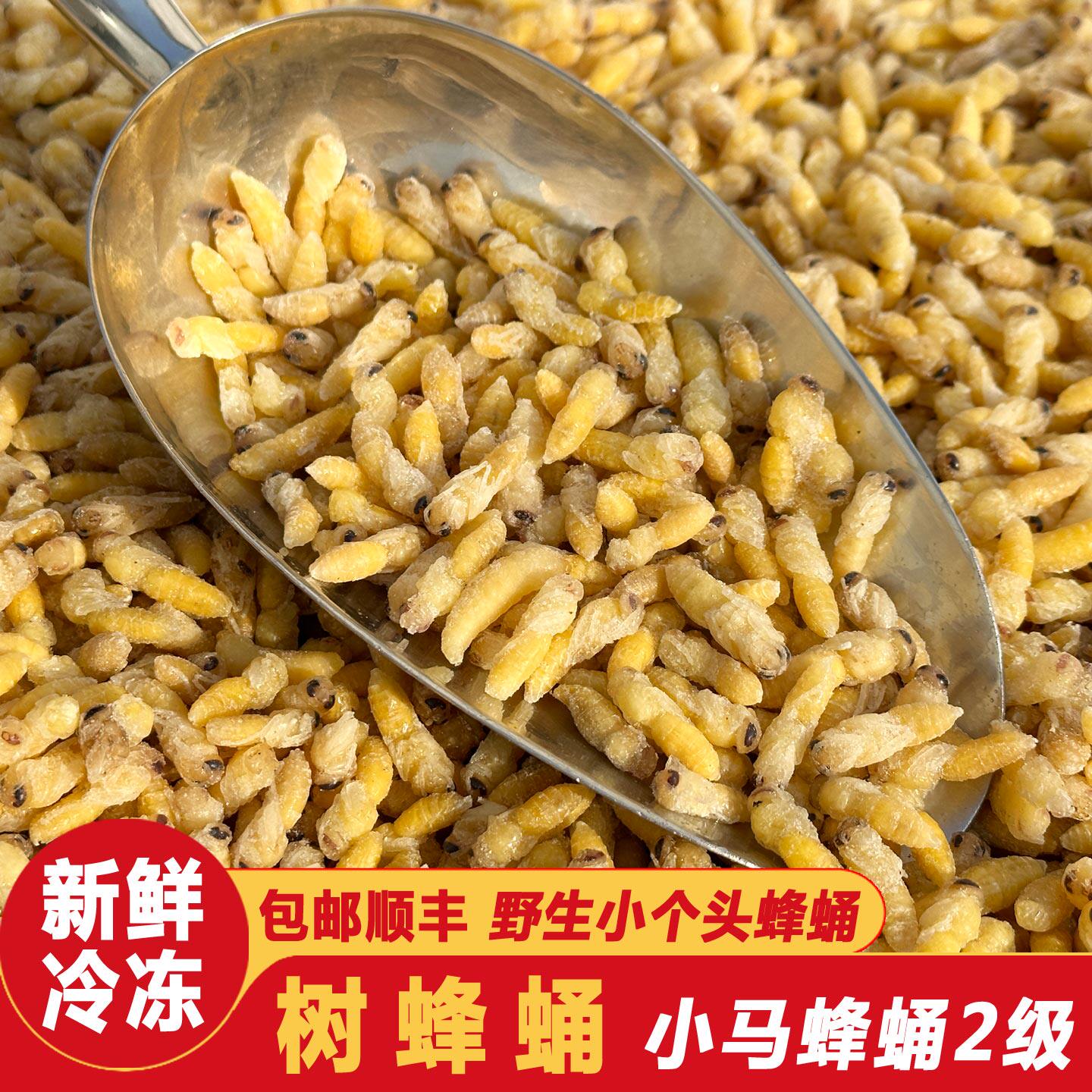 野生葫芦蜂2级鲜新树蜂蛹马蜂冷冻幼蜂云南特产昆虫子美食1件包邮
