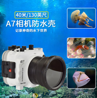 海蛙索尼A7RS相机防水壳深潜摄影