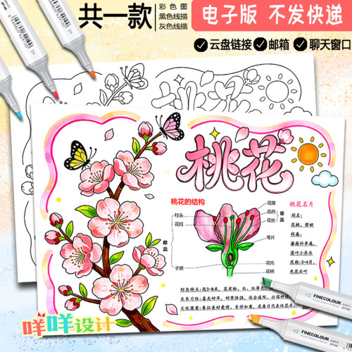 植物记录卡桃花手抄报线稿涂色植物朋友自然笔记A4/A3/8K电子小报
