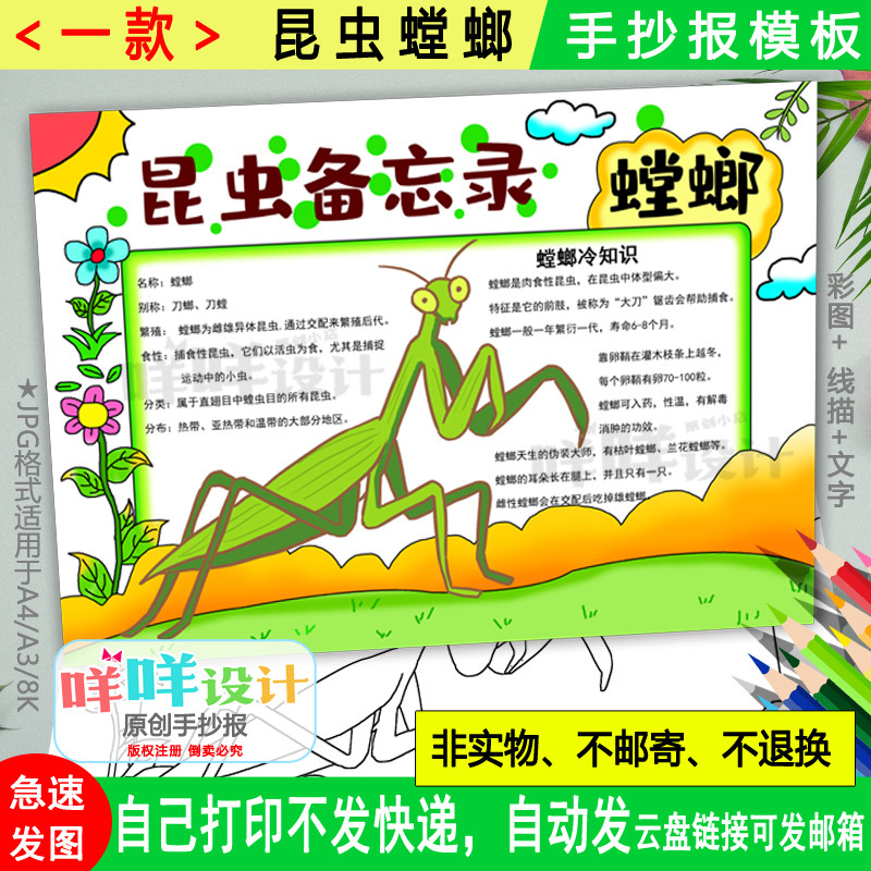 螳螂自然笔记小报黑白线描涂色空白三年级昆虫备忘录手抄报模板