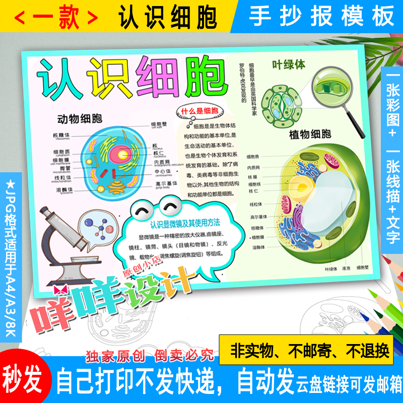 认识细胞小报六年级科学实验黑白线描涂色空白小学生手抄报模板