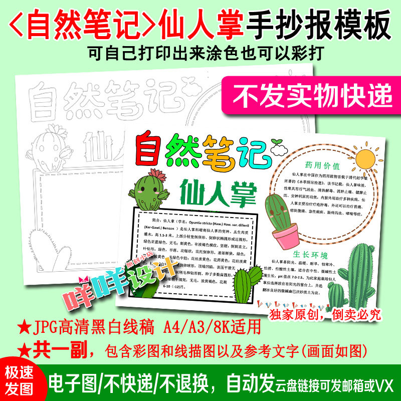 自然笔记仙人掌植物观察日记黑白线描涂色空白中小学生手抄报模板