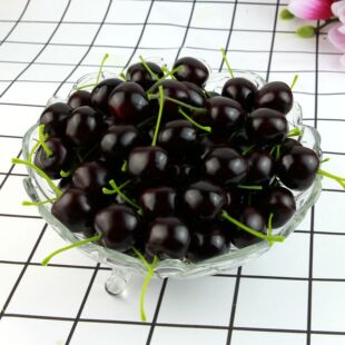 仿真樱桃车里子假水果串模型装饰道具画室摆件塑料玩具样板房展示