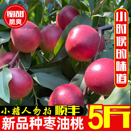 珍珠枣油桃小桃子麻点丑桃脆蜜桃