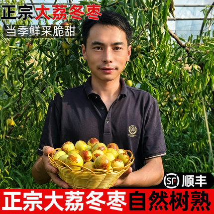 【顺丰】正宗陕西大荔冬枣新鲜枣脆蜜枣水果4斤整箱当季时令现摘