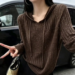 慵懒风连帽镂空亮片天丝亚麻针织衫女宽松长袖套头显瘦百搭上衣