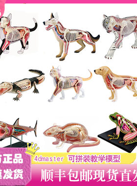 4d动物模型骨骼手办仿真4DMASTE