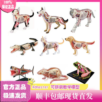 4D Master动物模型仿真海洋生物解剖骨骼拼装男孩十二生肖玩具
