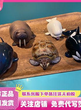 正版动物星球心宽体胖系列第四弹海洋篇盲盒乌龟鱼手办摆件周边