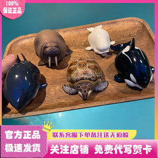 正版动物星球心宽体胖系列第四弹海洋篇盲盒乌龟鱼手办摆件周边