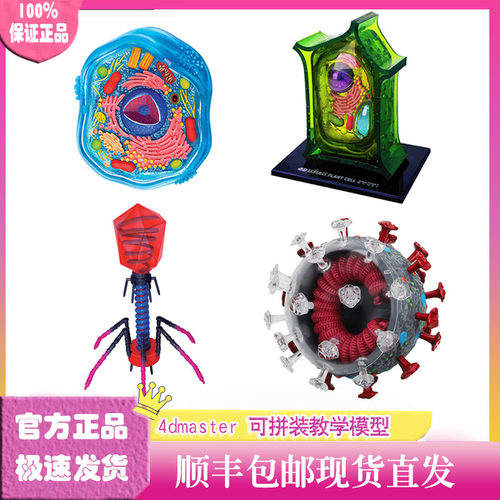 4dmaster动物植物细胞解刨模型