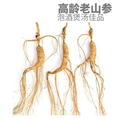 长白山东北特产16年野生人参