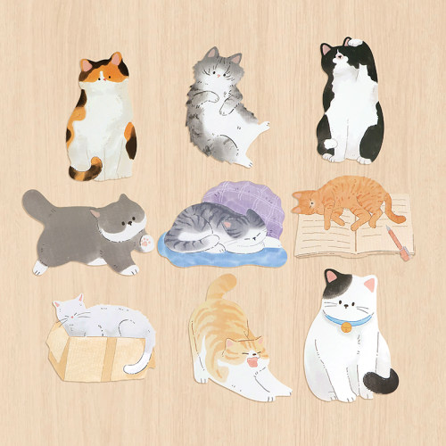 9张异形明信片猫猫去哪了系列