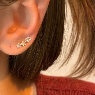 一束流星闪闪排钻锆石耳钉女小众设计高级感耳排式简约百搭款耳饰