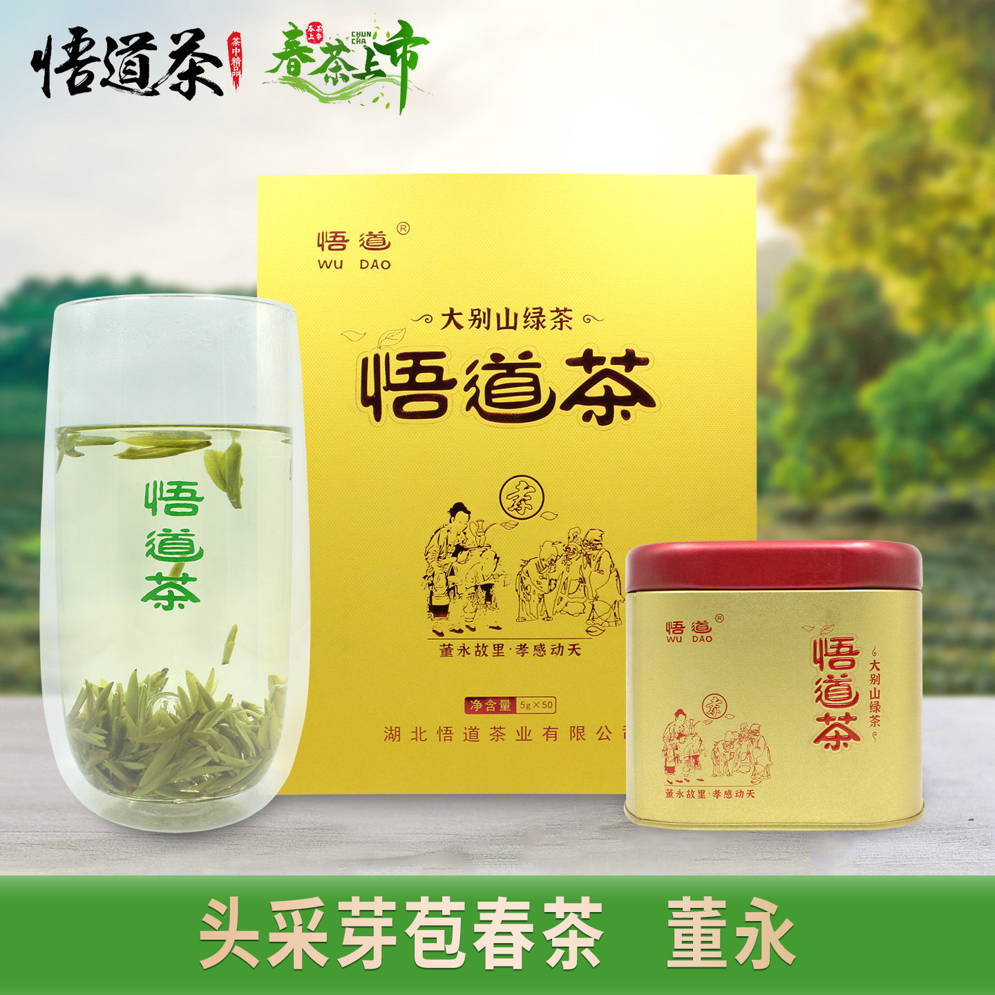 悟道牌董永头采芽苞春茶2026年大悟柏园黄龙寺明前特级高山绿茶