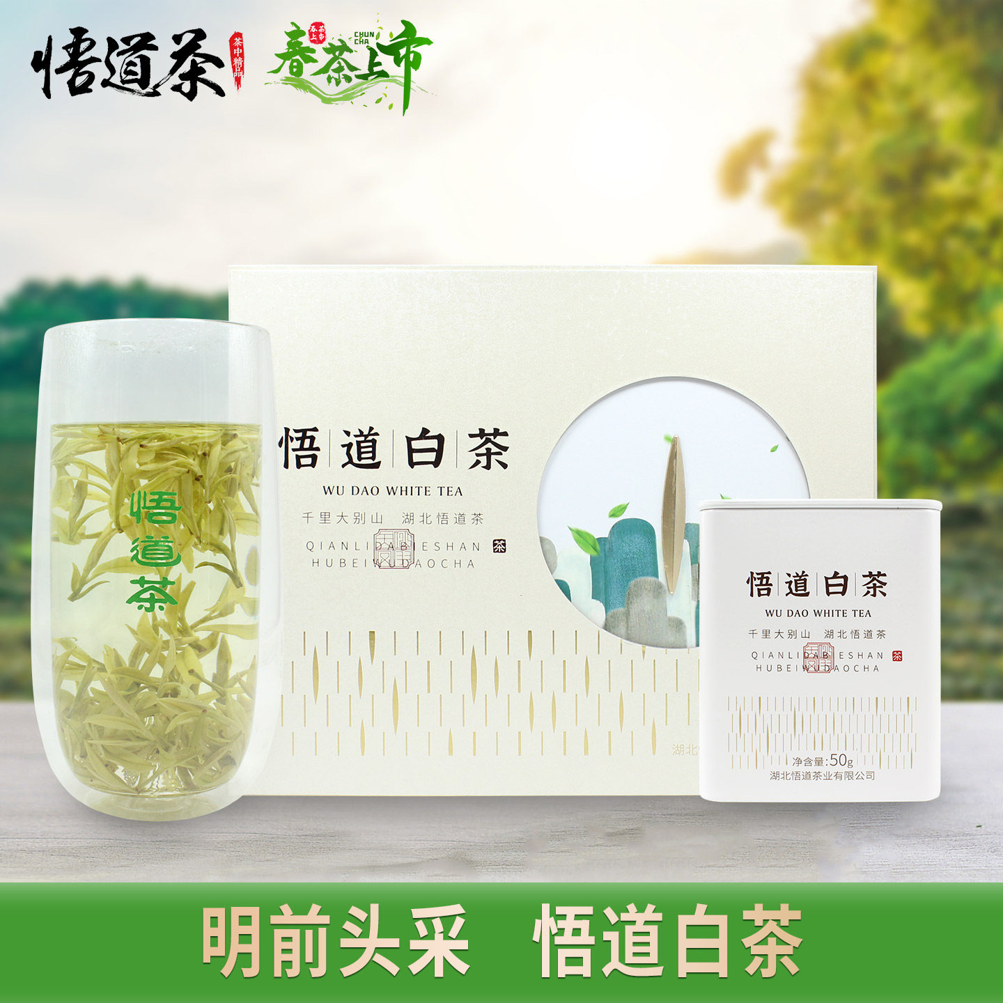 悟道牌明前头采悟道白茶2026年新茶大悟三里早春云雾特级茶叶花香
