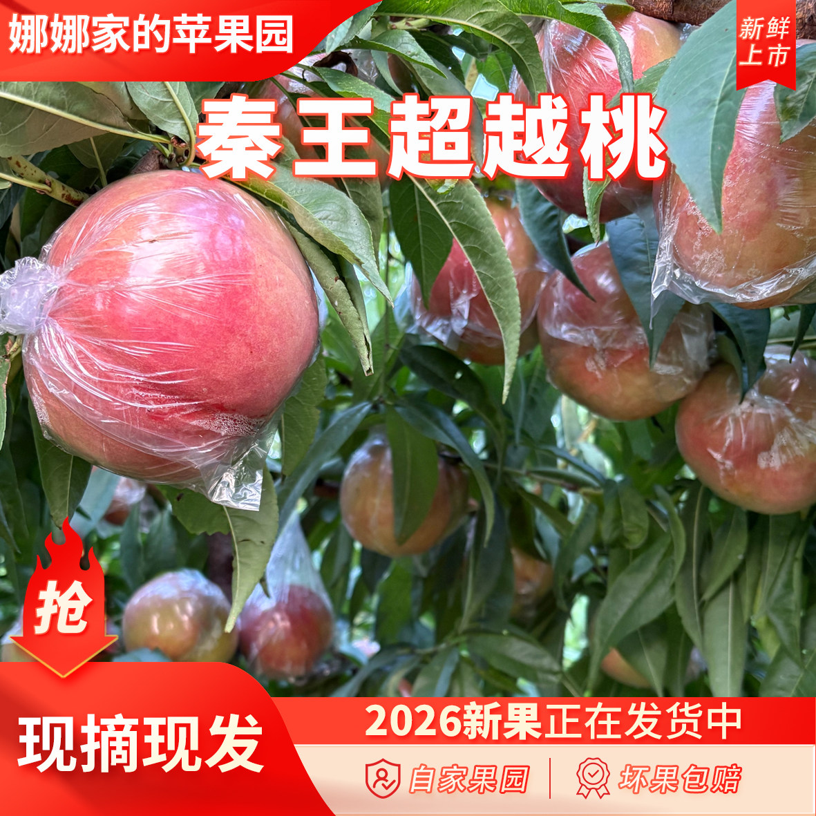 新鲜秦王超越脆桃子鲜桃脆甜可口鲜果现摘现发顺丰包邮山西运城