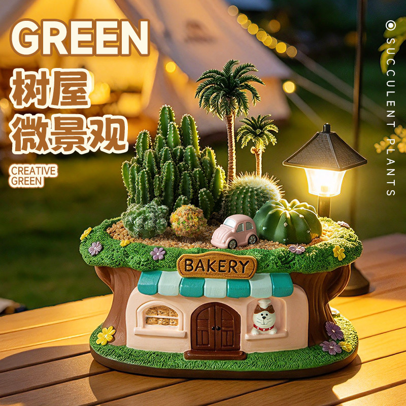 仙人掌多肉组合盆栽治愈景观绿植办公室桌面植物装饰摆件生日礼物