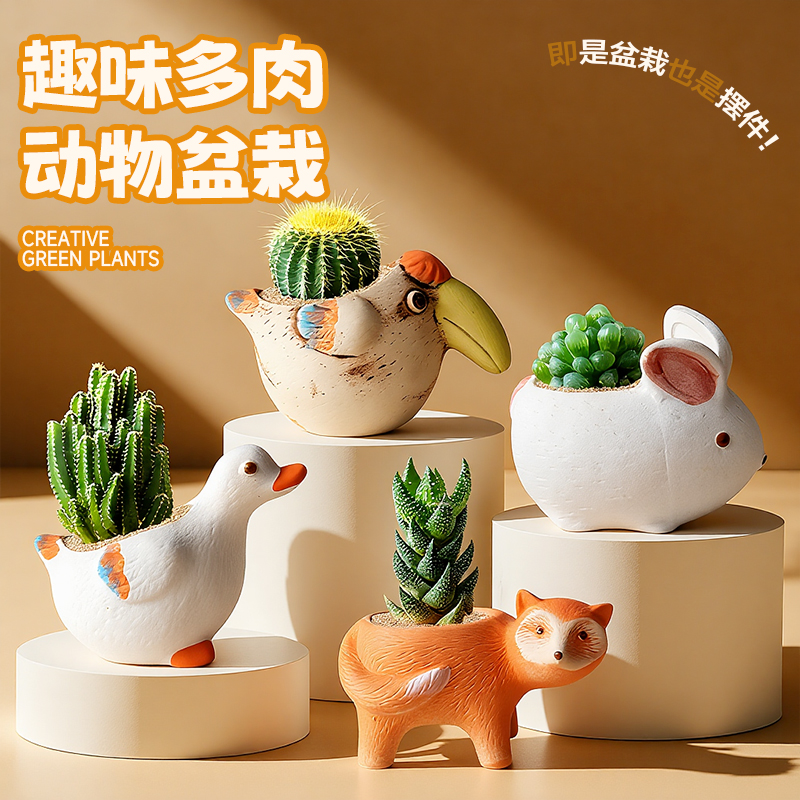 多肉植物办公室内工位桌面创意卡通可爱肉肉小盆栽绿植幼儿园礼物
