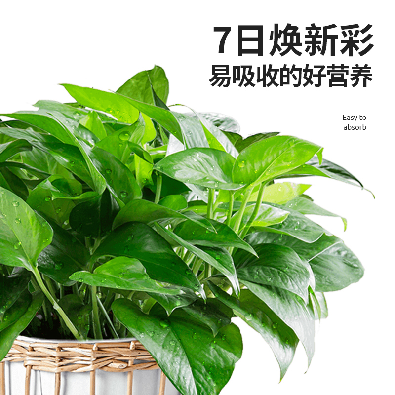 直喷营养液室内外花卉植物通用型花肥多肉发财树家用免稀释液体肥