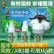超威电热蚊香液5瓶无香清新防灭蚊温和无烟家用装 驱蚊液 盒插电式