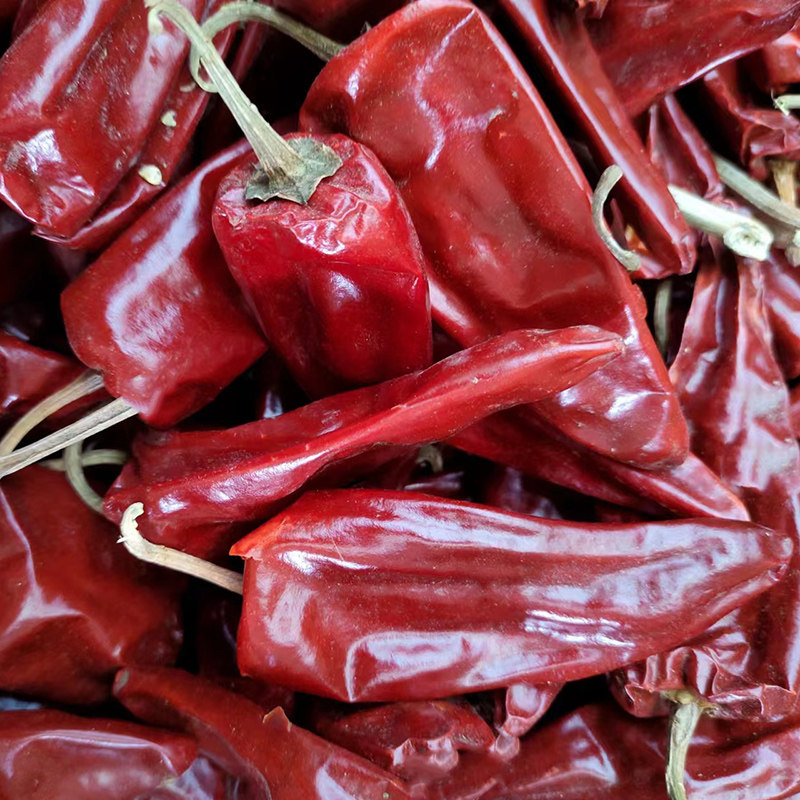 山东红干辣椒大辣椒菏泽单县干红大辣椒熬煮羊肉汤红干辣椒500克