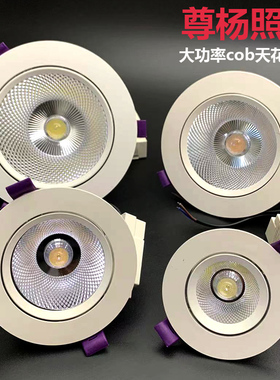 大功率cob射灯工程款嵌入式天花灯家用孔灯桶灯牛眼灯洞灯led筒灯