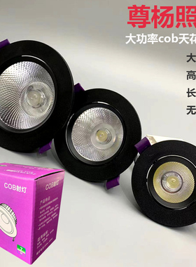 尊扬照明cob射灯黑壳嵌入式天花灯黑色孔灯洞灯品牌大功率led筒灯