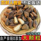 东北松子原味新鲜伊春开口手剥松籽大颗粒野生红松子孕妇零食坚果