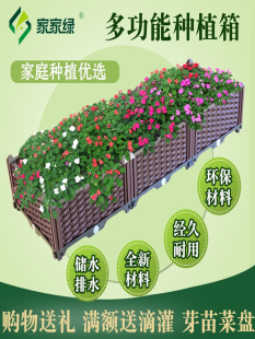 家家绿种植箱宽39阳台菜园种植盆楼顶长方形种菜盆塑料种菜专用箱