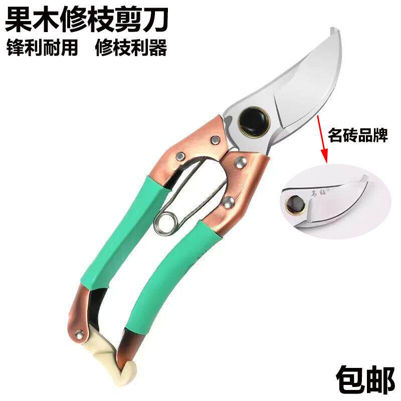 修枝整枝剪葡萄梨桔子果树粗大枝条园艺芒果剪刀老品牌优质钢名钻