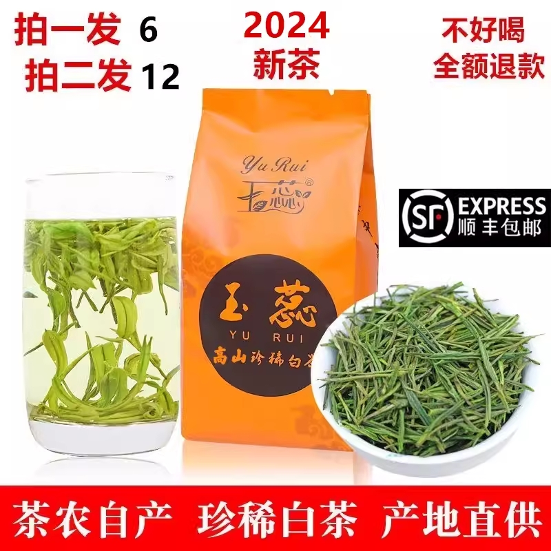 2024新茶玉蕊白茶一级雨前高山珍稀散装安吉绿茶叶250克珍惜春茶