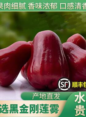 海南黑金刚莲雾大果（下单斤）特大果（下单KG）新鲜树上熟现摘